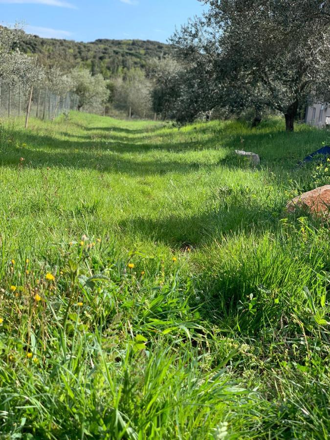 Il Giardino Degli Ulivi Hotel Rovinj Bagian luar foto